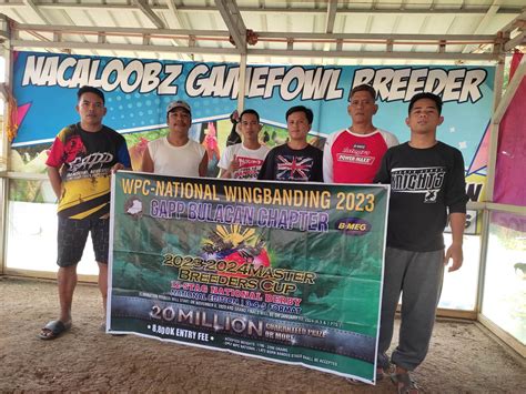 wpc 2023 wingband|GAPP Bulacan .